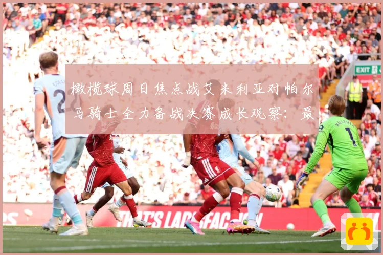 橄榄球周日焦点战艾米利亚对帕尔马骑士全力备战决赛成长观察：最新赛事动态与深度分析
